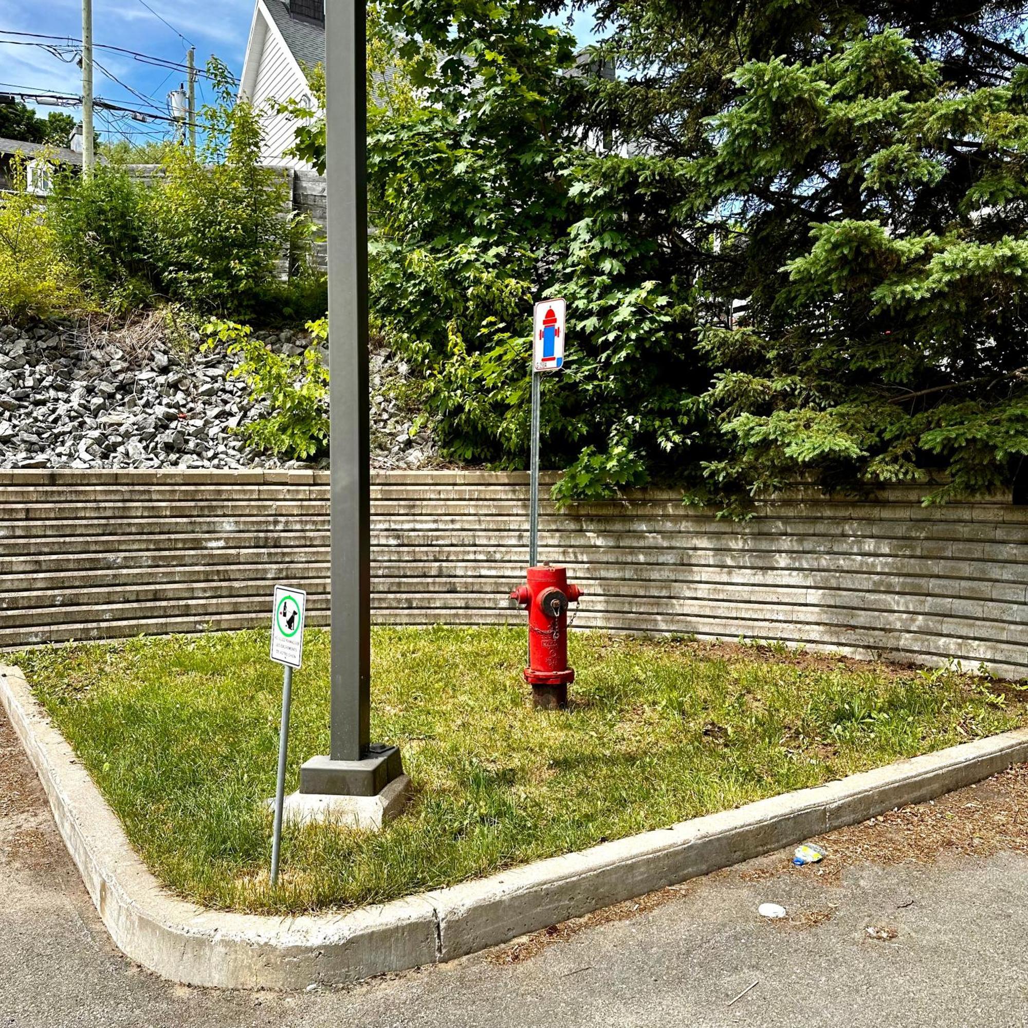 Initial - Cavalier - Chutes-Montmorency Boischatel Bagian luar foto